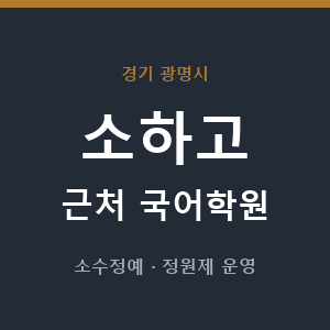 소하고 근처 국어학원 - 추천